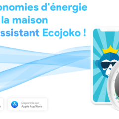 Des économies d’énergie facile à la maison avec l’assistant Ecojoko
