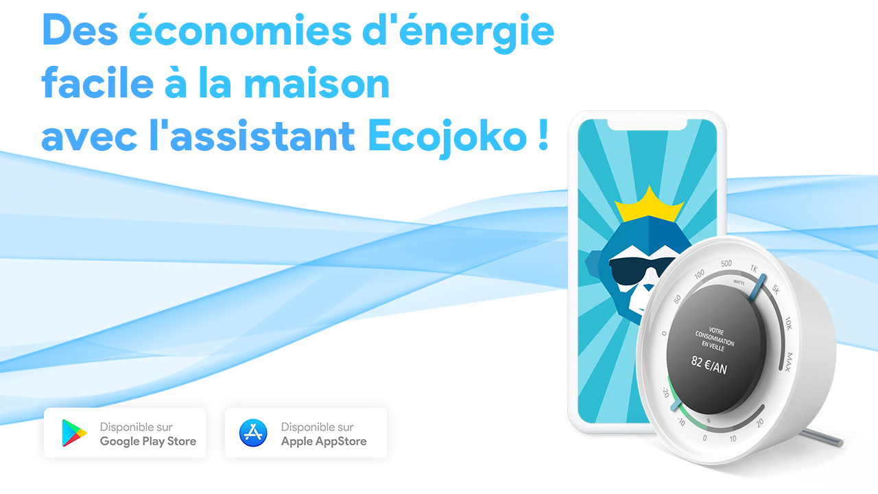 Des économies d’énergie facile à la maison avec l’assistant Ecojoko